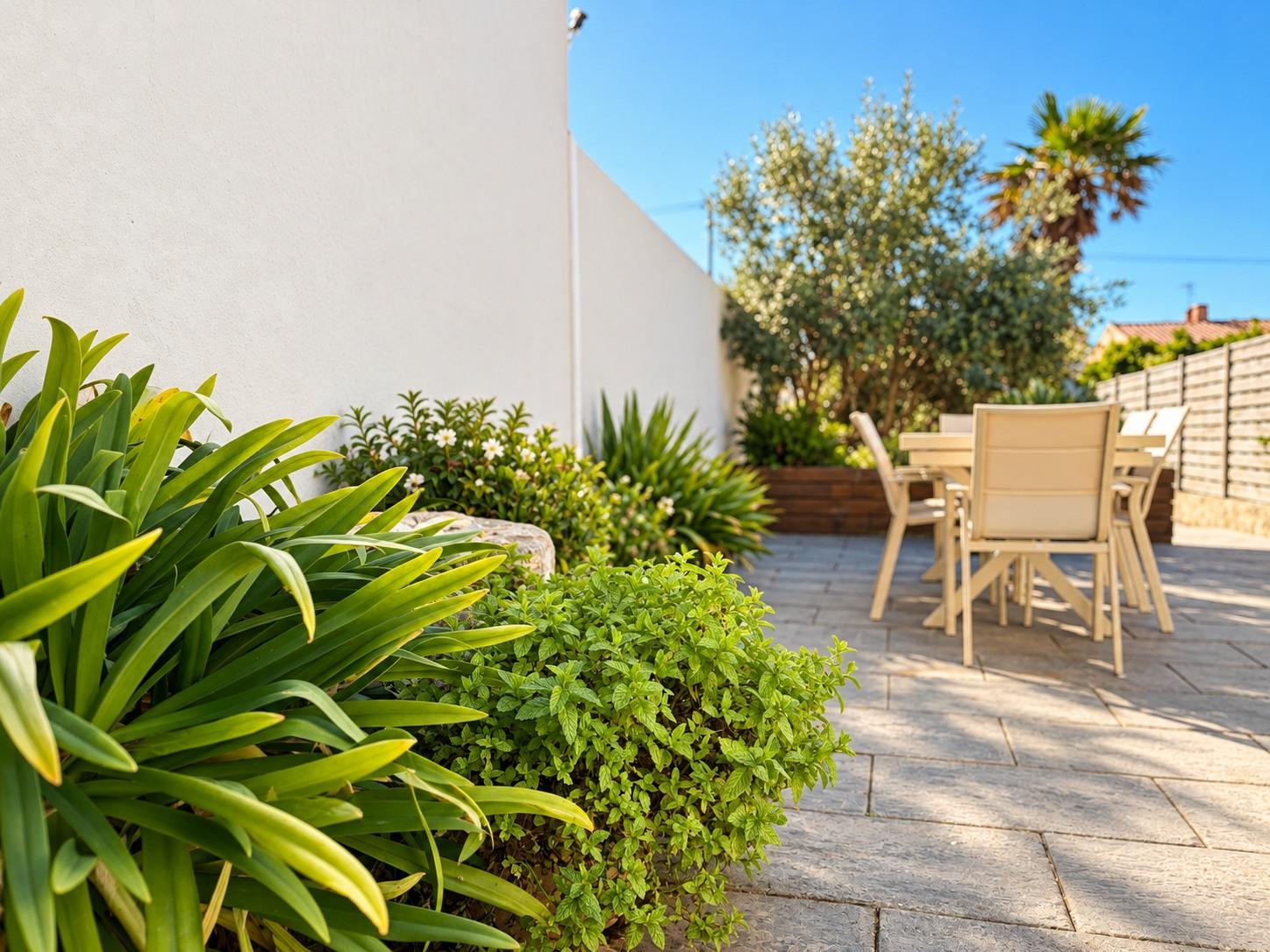 La terrasse de la maison principale et son salon de jardin, à l'ombre de l'olivier