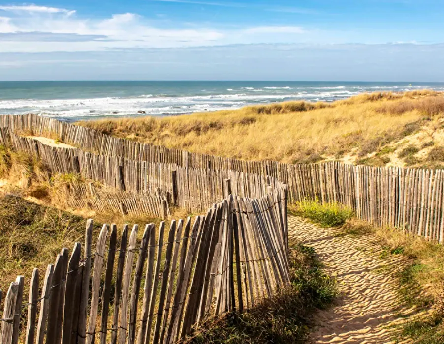 Un chemin de sable entre les ganivelles mène à travers la dune jusqu'à l'océan