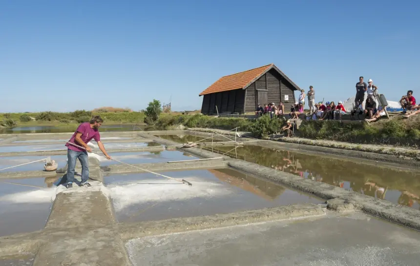 Un saunier récolte le sel dans les marais salants