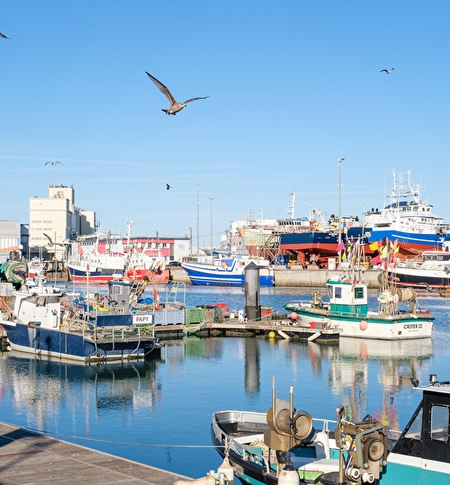 Bateaux de pêche amarrés au port de La Chaume, des mouettes dans le ciel bleu